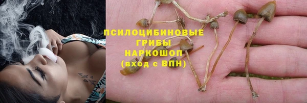 мдпв Михайлов
