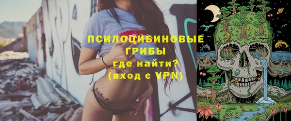 мдпв Михайлов