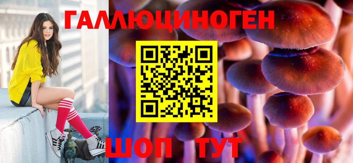 Энгельс  Псилоцибиновые грибы GOLDEN TEACHER  Галлюциногенные грибы Psilocybe  Вход с VPN 