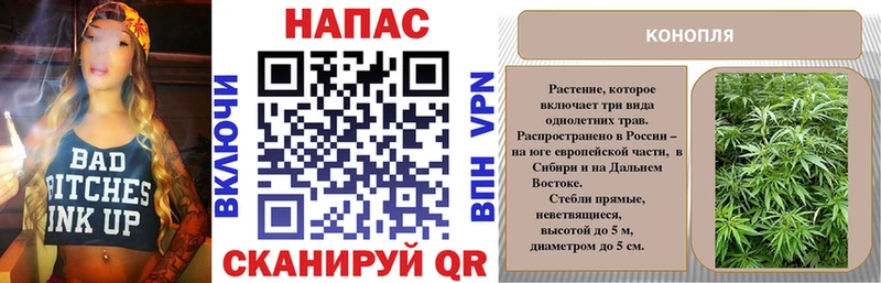 Канабис OG Kush  Энгельс 